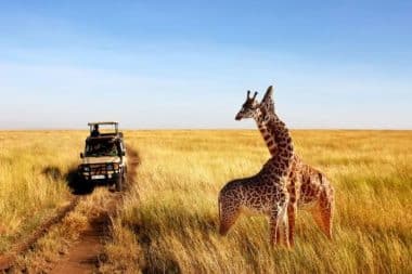 τανζανια ζανζιβαρη πρωτοχρονια